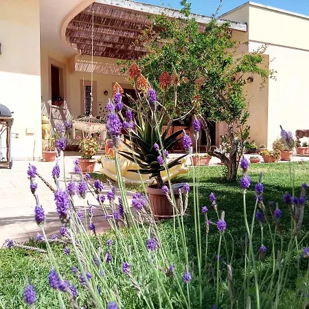 B&B Corbezzoli E Callistemon-3
