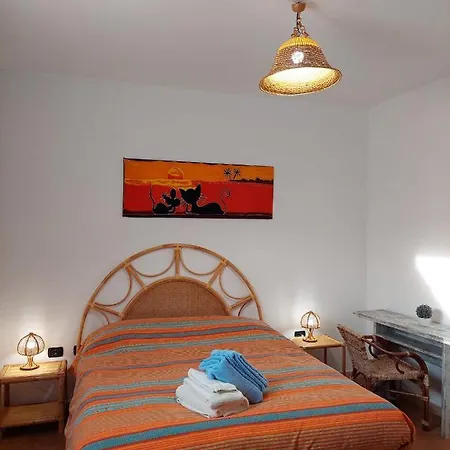 B&B Corbezzoli E Callistemon-2